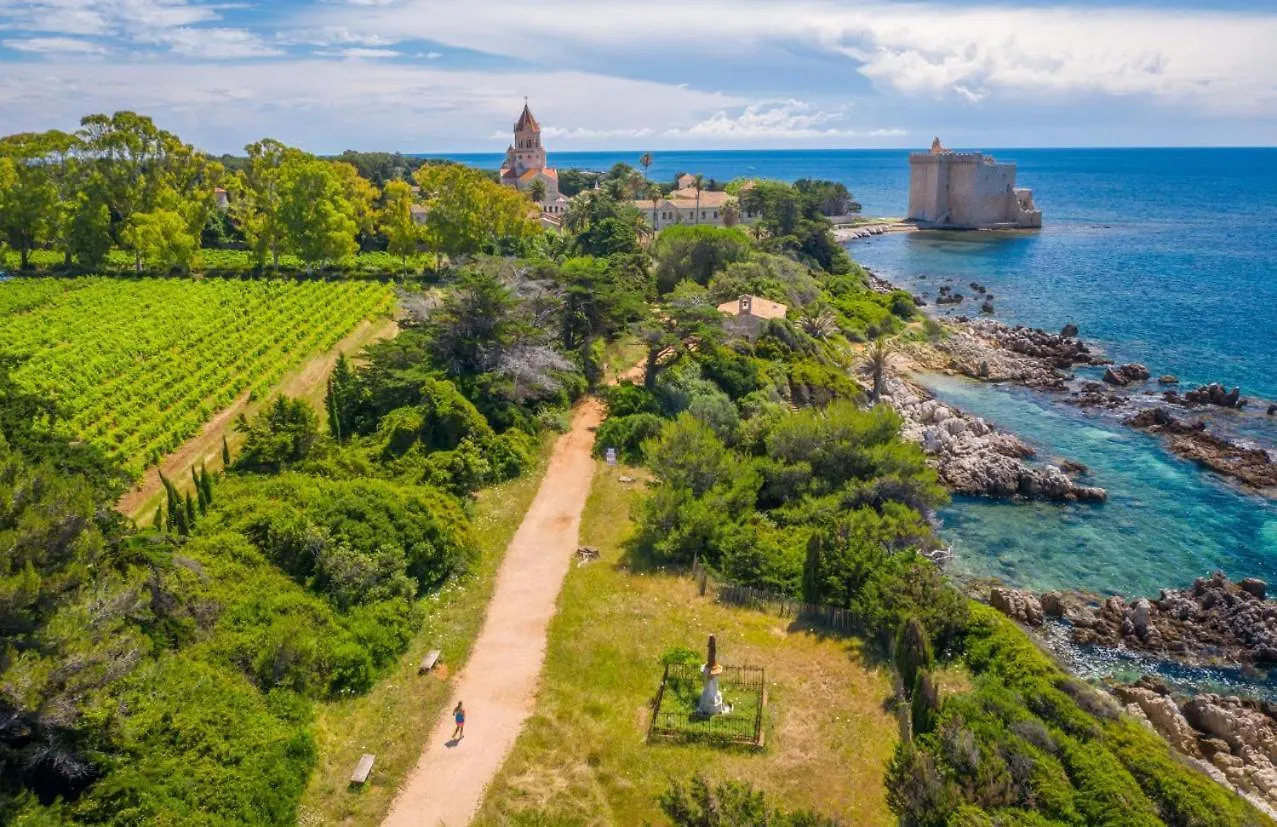 La Palme De Selyan Elegance&Mer Cannes France